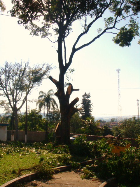 Selecione a Imagem